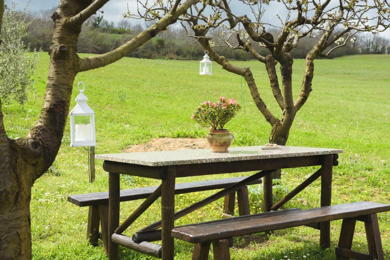 Вілла Agriturismo Campo Alla Piana Монтіккєлльо Екстер'єр фото