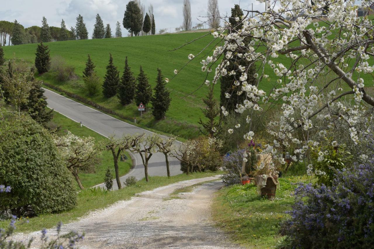 Вілла Agriturismo Campo Alla Piana Монтіккєлльо Екстер'єр фото