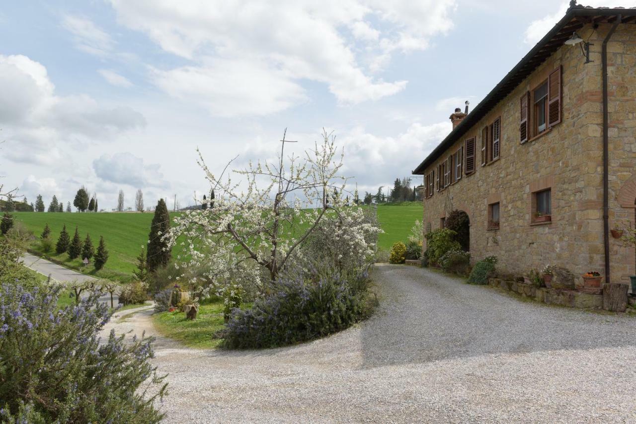 Вілла Agriturismo Campo Alla Piana Монтіккєлльо Екстер'єр фото