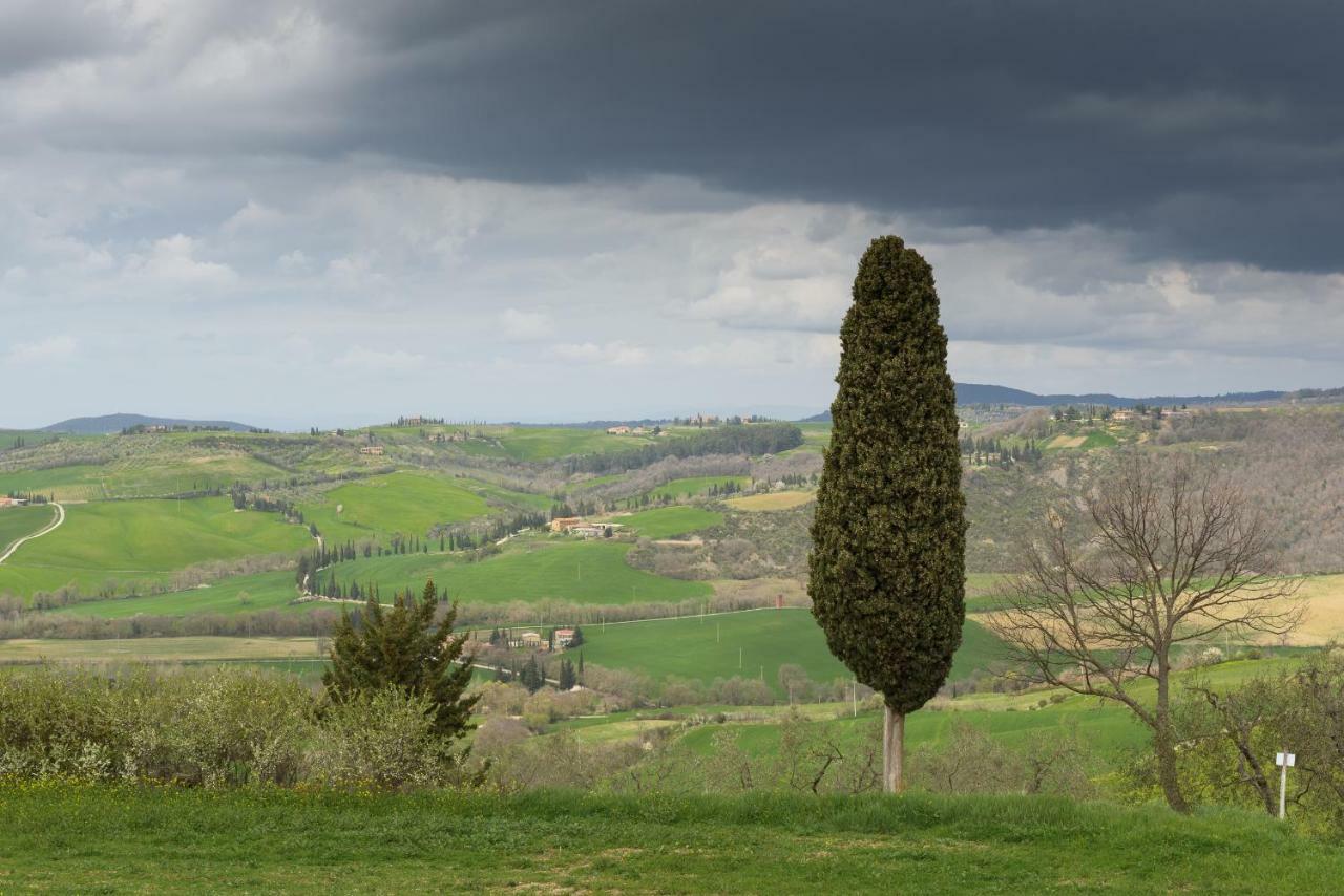 Вілла Agriturismo Campo Alla Piana Монтіккєлльо Екстер'єр фото