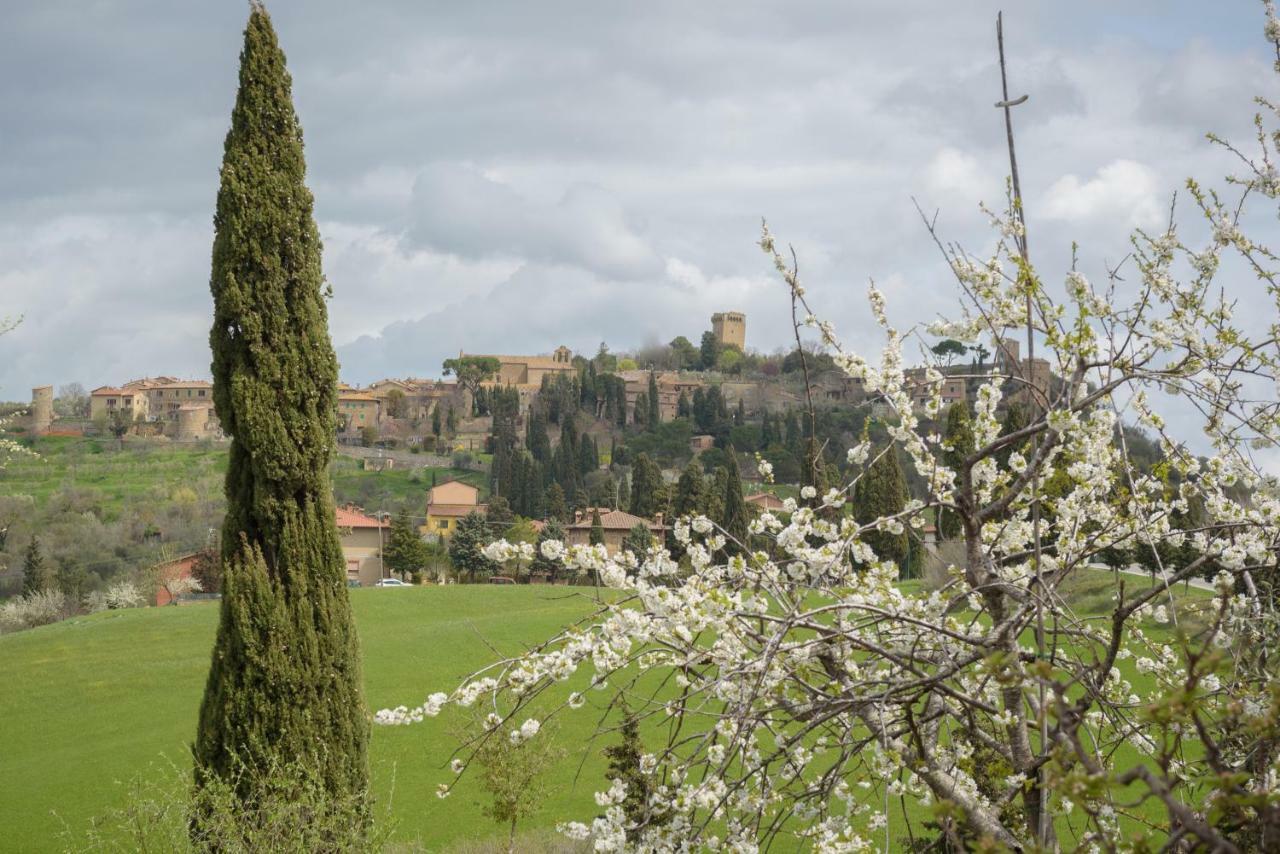Вілла Agriturismo Campo Alla Piana Монтіккєлльо Екстер'єр фото